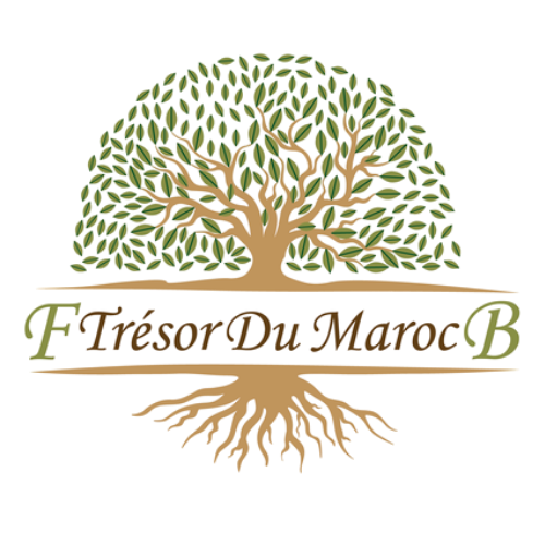 Logo Trésor du MarocFB — arbre aux racines